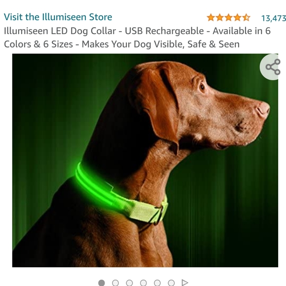 NWT Illumiseen LED Dog Collar - USB Rechargeable - Picture 2 of 5
